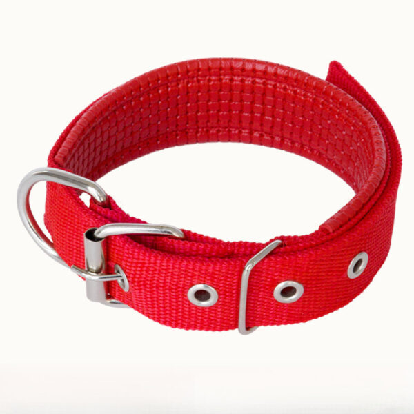 4d5c0892_4cb7ee33-39db-4e41-bb5d-7af116daafa1.jpg Dog Leash | Reflective Dog Leash