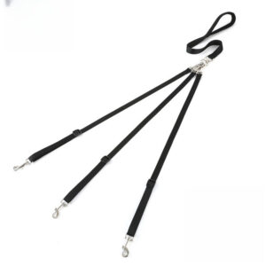 Dog Leash |   Dog Walking Leash